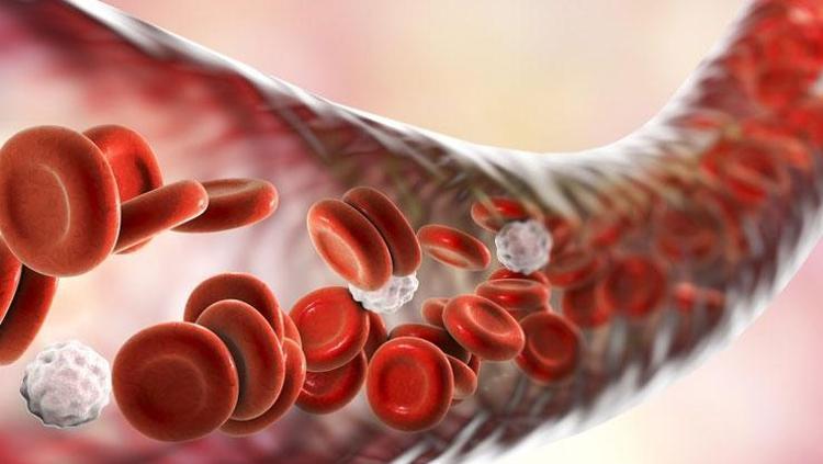 Tıkanan damarları hortum gibi açıyor Kalbi saat gibi tıkır tıkır çalıştırıyor: Kolesterolü terazi gibi dengeliyor, kan basıncını yerle bir ediyor