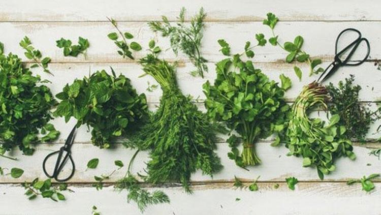 Tıkanan damarları hortum gibi açıyor Kalbi saat gibi tıkır tıkır çalıştırıyor: Kolesterolü terazi gibi dengeliyor, kan basıncını yerle bir ediyor