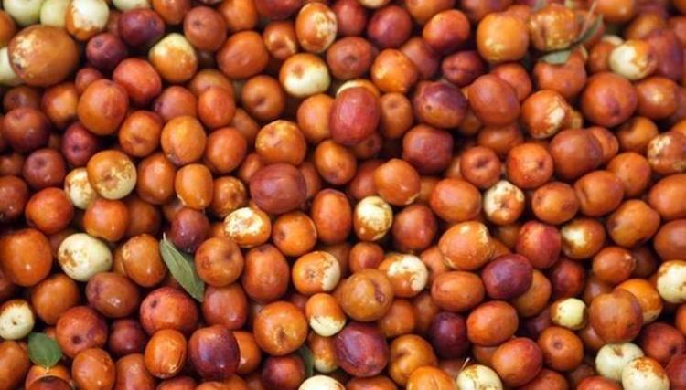 Japonlar avuç avuç yiyor Türkiyede yetişiyor: Kilosu 80 lira, vücuda bedava vitamin yüklüyor