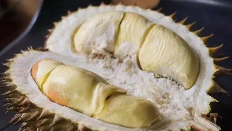 DÜNYANIN EN GÜÇLÜ C VİTAMİNİ KAYNAĞI
