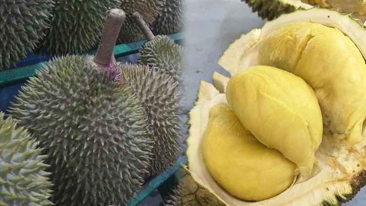Kokusunu duyan tüketmek istemiyor ama şifa deposu Asyalıların uzun yaşam sırrı keşfedildi: Vücuda anında C vitamini, potasyum, B vitamini ve demir yüklüyor