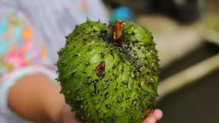 İÇERİĞİNDEKİ YAĞ ASİTLERİ İLE KALBİ KORUYOR
