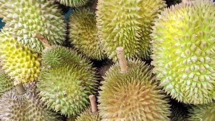 Kokusunu duyan tüketmek istemiyor ama şifa deposu Asyalıların uzun yaşam sırrı keşfedildi: Vücuda anında C vitamini, potasyum, B vitamini ve demir yüklüyor