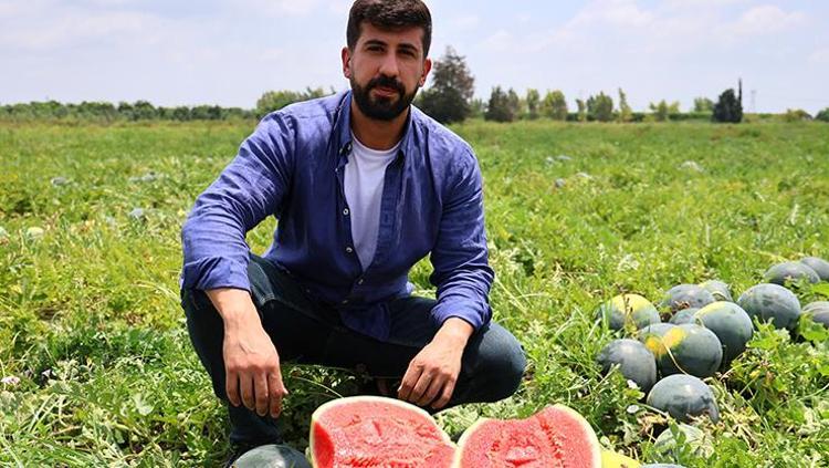 HER GEÇEN GÜN ÇEKİRDEKSİZ KARPUZA İLGİ ARTIYOR