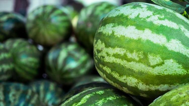 Adanadan Avrupaya kapış kapış satılıyor Kilosu 10 TL: Potasyum, C vitamini ve magnezyum zengini, 1 dilimi bile kolesterolü damardan siliyor