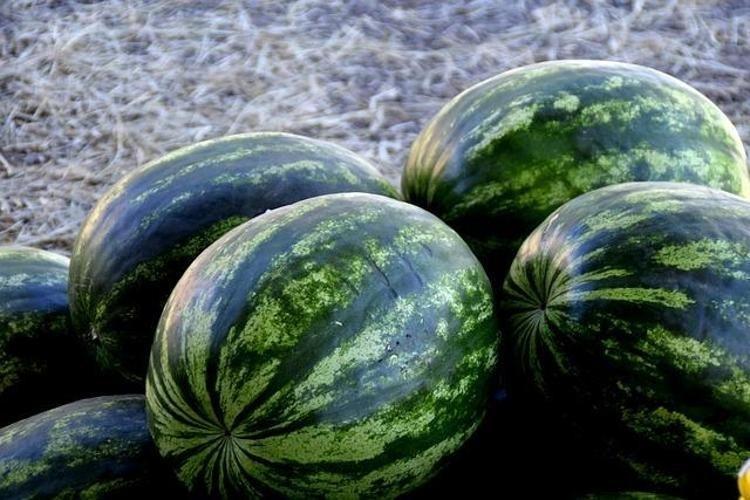 Adanadan Avrupaya kapış kapış satılıyor Kilosu 10 TL: Potasyum, C vitamini ve magnezyum zengini, 1 dilimi bile kolesterolü damardan siliyor