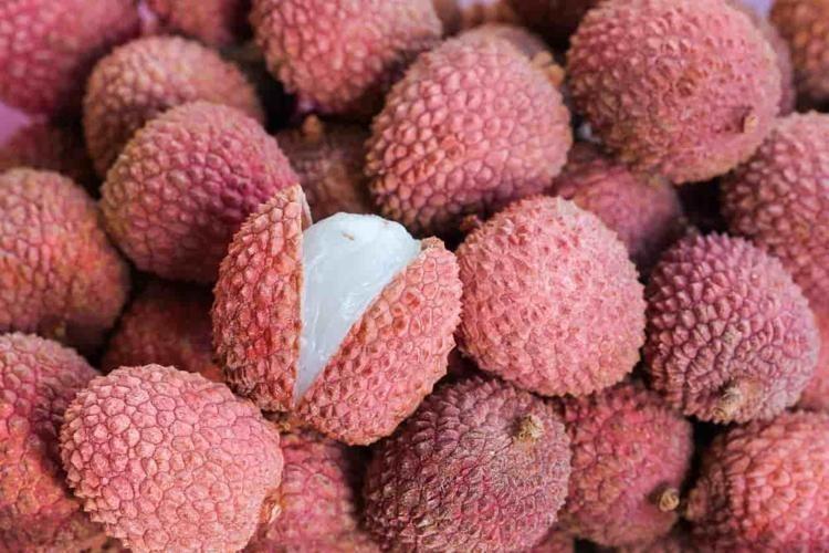Mersinde yetişen Kral meyvesi: Portakaldan 20 kat fazla C vitamini içeriyor, cildin yaşlanmasına izin vermiyor