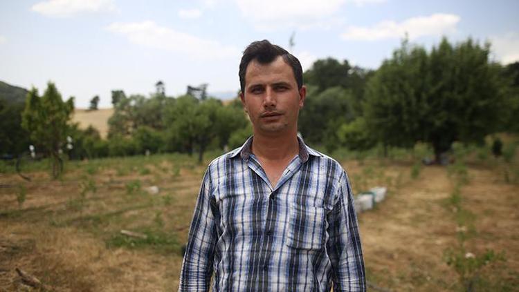 Bursada hasadı başladı Kilosu 300 TLden dünyaya satılıyor: Demir, magnezyum ve çinko depolarını fulleyip bağırsak enfeksiyonlarını yok ediyor