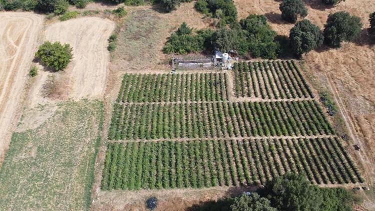 KİLO KONTROLÜNE YARDIMCI OLUR