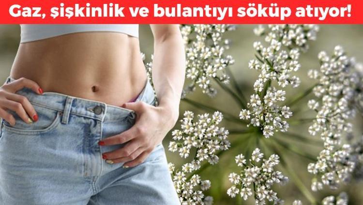 Sabah akşam 1 bardak içmek yetiyor Gaz, bulantı, şişkinlik ne varsa söktürüp karnı dümdüz yapıyor Doğal ağrı kesici