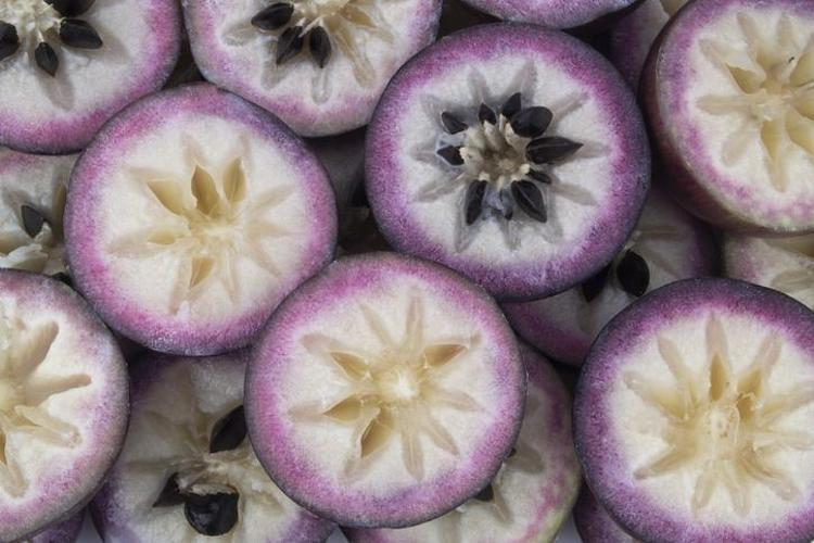Doğanın C vitamini kralı Kilosu 500 TL: Potasyum ve magnezyum depolarını fulleyen doğal tansiyon ilacı