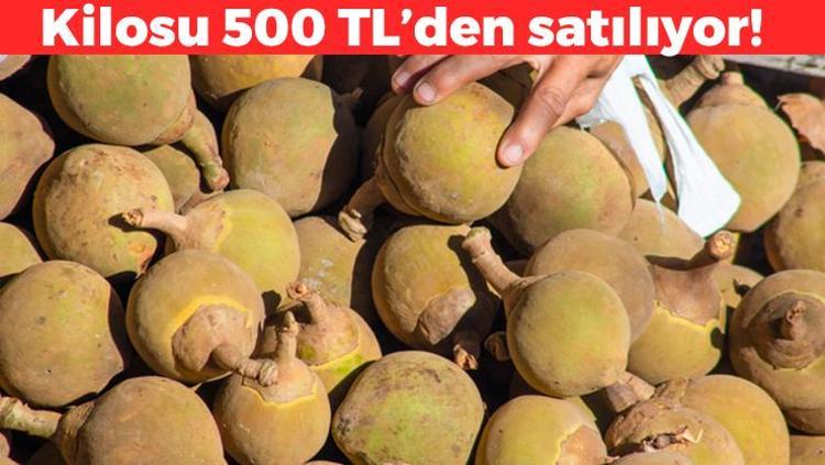 Doğanın C vitamini kralı Kilosu 500 TL: Potasyum ve magnezyum depolarını fulleyen doğal tansiyon ilacı