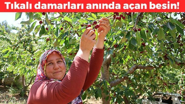 Adanada zorlu hasat başladı, Rusyaya kapış kapış satılıyor Kilosu 140 TL: Suyunu bardak bardak içince damardaki kolesterolü sıfırlıyor Tıkalı damarları yol gibi açan mucize