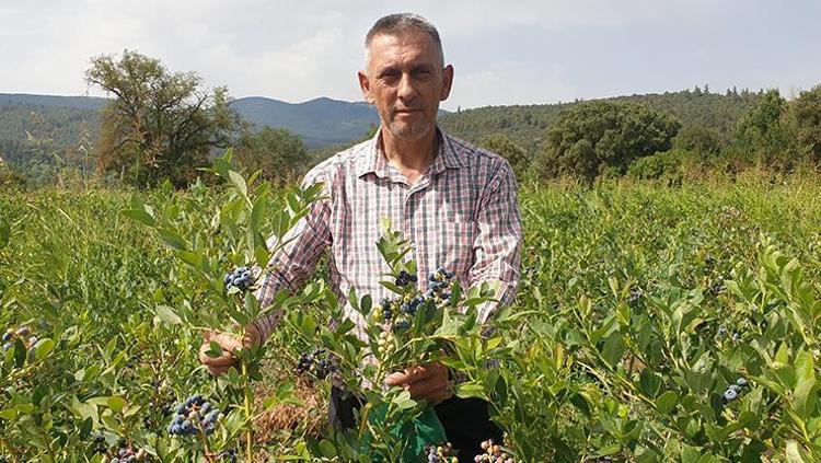 İLTİHAP SÖKTÜRÜCÜ ÖZELLİĞE SAHİPTİR