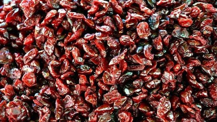 BÖBREK VE MESANE SAĞLIĞINI KORUR