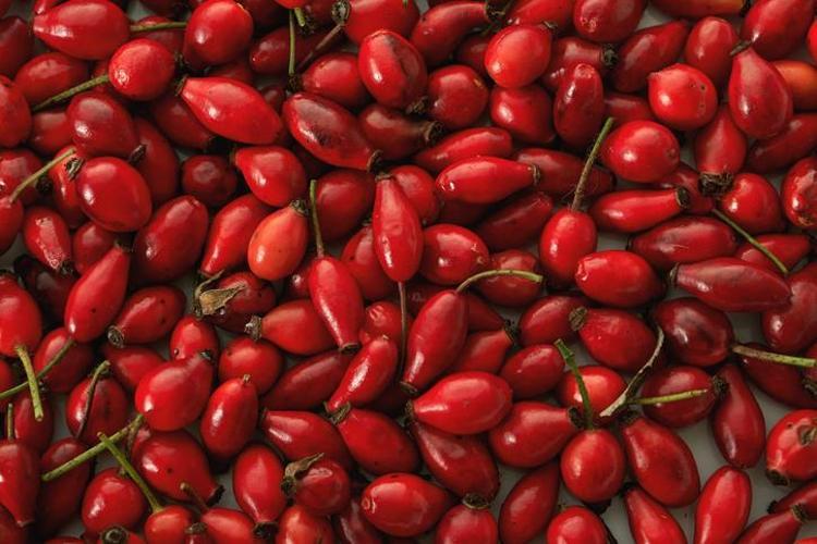 KALP SAĞLIĞINI GÜÇLENDİRİR, KOLESTEROLÜ DÜŞÜRÜR