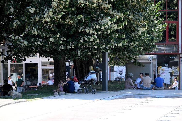 AKDENİZ