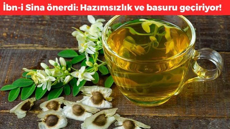 İbn-i Sina önerdi: öksürüğü anında kesmek mümkün Bir tutamı bile yetiyor, bağışıklığı dipçik gibi yapıyor, bardak bardak içinde 10 yıl hastalanmazsınız