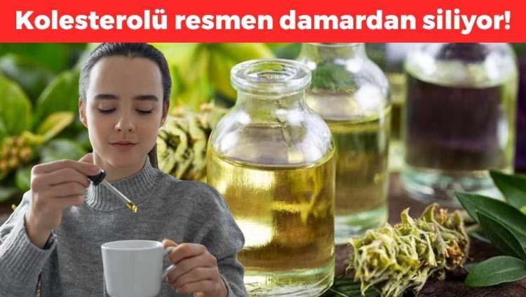 Bakteri ve mantarların kökünü kazıyor Dünyanın en güçlü antioksidanı: 1 damlası kolesterolü damardan siliyor, ömrü 10 yıl uzatıyor