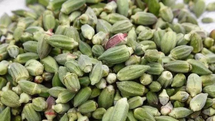 Pazarda görünce burun kıvırıyoruz ama bir tek ölüme çaresi yok Kolesterolü damardan kazıyıp atıyor, kan şekeri ve tansiyonu terazi gibi dengeliyor