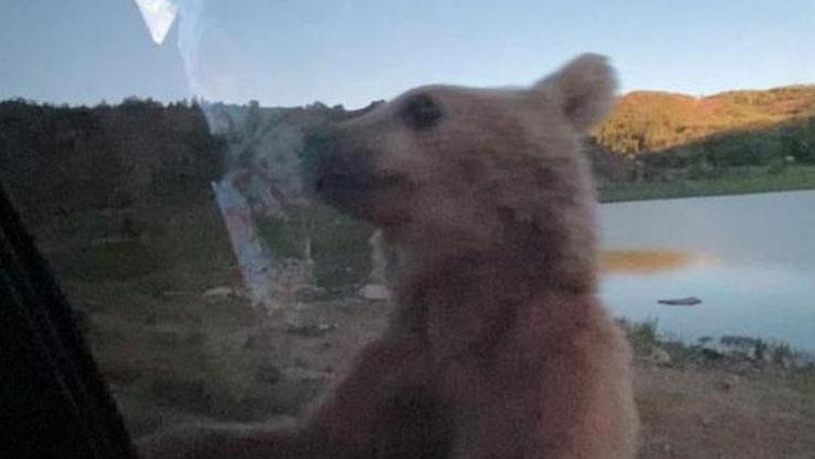 EŞSİZ MANZARA KARŞISINDA KORKU DOLU ANLAR