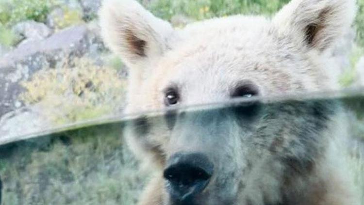 SALDIRI ANLARI AN BE AN KAMERADA