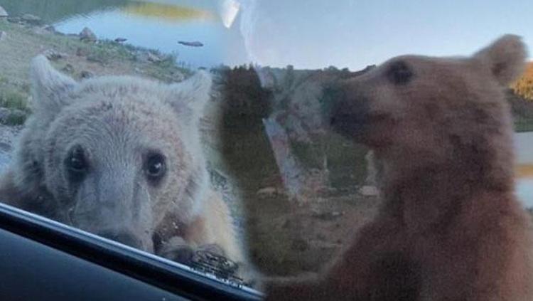 KORKU DOLU ANLAR YAŞAYAN VATANDAŞTAN AÇIKLAMA