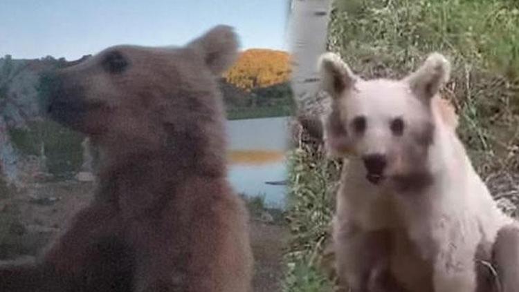 UZMANLAR VATANDAŞLARI UYARIYOR