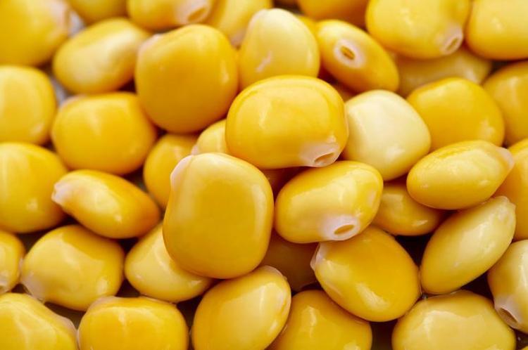 Akdenizin göz bebeği Proteinde kırmızı eti 10a katlıyor, basuru ve kabızlığı bitiriyor Doğal tansiyon ilacı