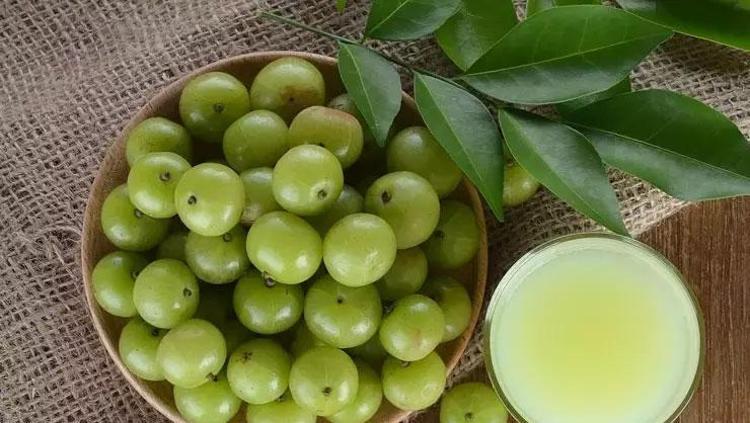 BAĞIŞIKLIK SİSTEMİNİ KAYA GİBİ GÜÇLENDİRİYOR