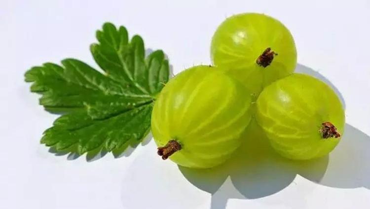 KAN ŞEKERİNİ TERAZİ GİBİ DENGELİYOR