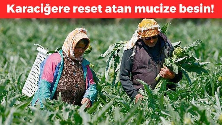 Türkiyeden dünyaya kapış kapış satılıyor Doğal antibiyotik, 1 lokması karaciğere reset atıyor Doğanın detoks ajanı olarak biliniyor