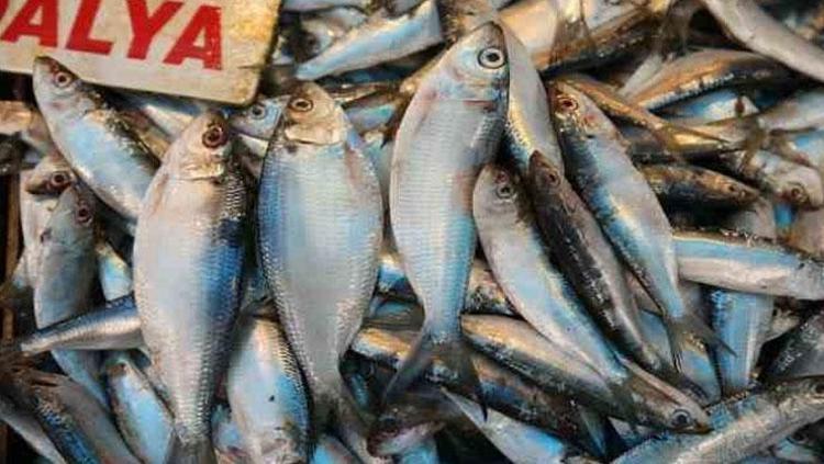 VİTAMİN VE MİNERAL AMBARI