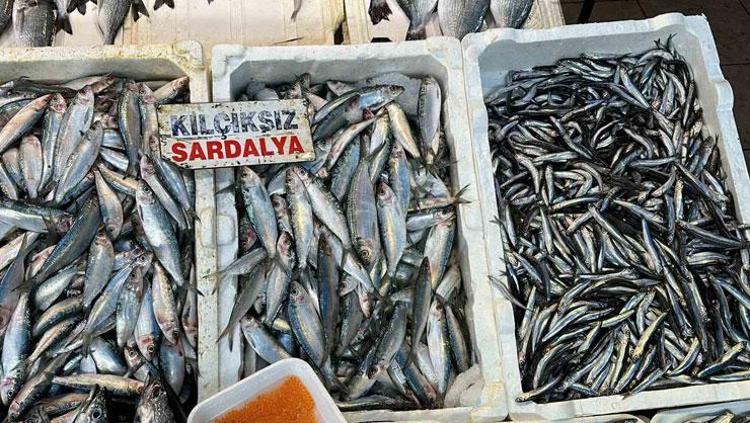 ANTİOKSİDAN ETKİLER VE HÜCRESEL KORUMA