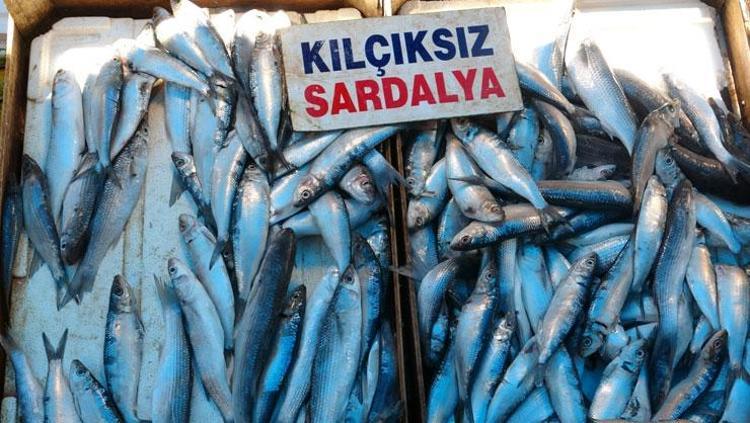 BEYİN SAĞLIĞINI DESTEKLİYOR