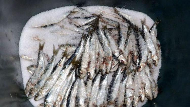 CİLT VE SAÇ SAĞLIĞINA BİRE BİR