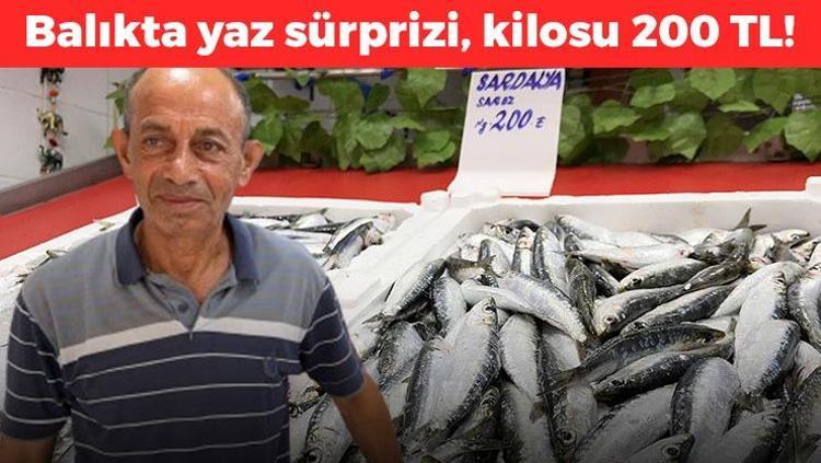 Kilosu 200 TL’den satılıyor Çanakkale’de en yağlı ve kaliteli dönemi yaşanıyor: Omega-3 depolarını fullüyor, vücudu hastalıklara karşı koruyor