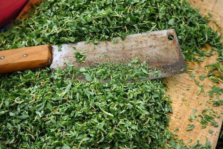 Kaşık kaşık yiyin, cilde içten kolajen yükleyip tek gecede 10 yaş gençleştiriyor Güneş lekelerini de silgi gibi siliyor