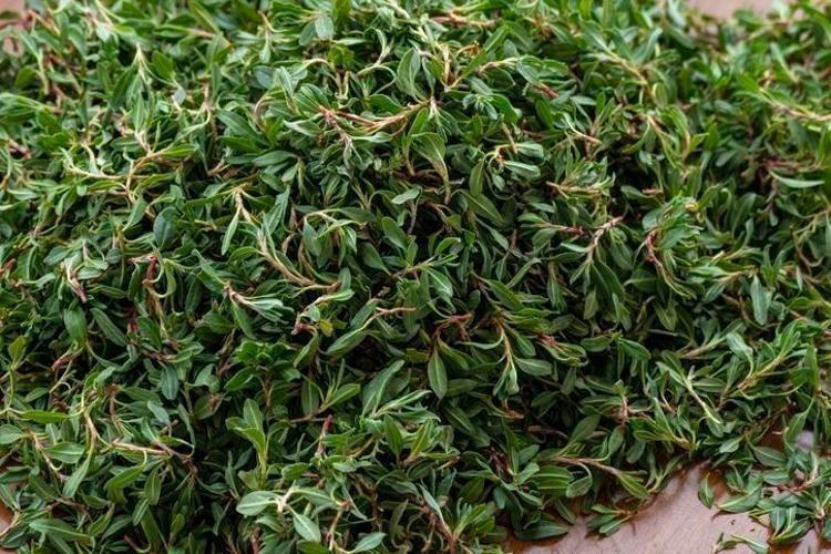 KOLAJEN İÇEREN YEŞİL YAPRAKLI SEBZELER HANGİLERİ