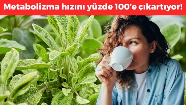 1 bardağı metabolizma hızını yüzde 100e çıkartıyor Vücudu toksinlerden arındırıp iltihabın kökünü kazıyor, mide kramplarını geçiriyor