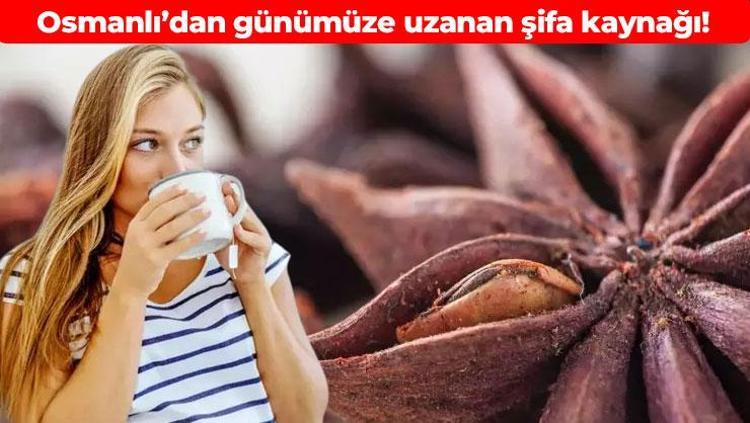 Osmanlı padişahlarının doğal şifa kaynağı Faydasını duyan aktardan poşet poşet alıyor: Midedeki şişkinlik ve gazdan bir çırpıda kurtarıyor