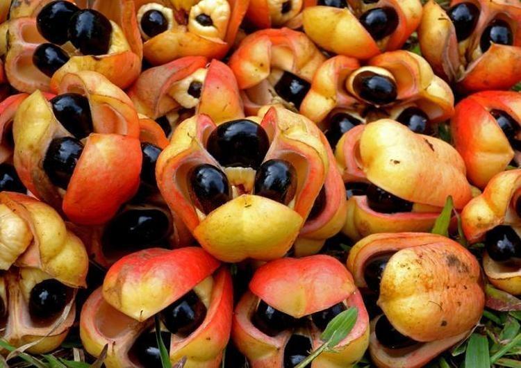 Balı sakın böyle tüketmeyin Felç edip öldürüyor, vücuda zehir salıyor