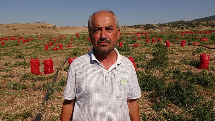 BAĞIŞIKLIK SİSTEMİNİ GÜÇLENDİRİR