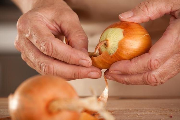 Kilosu 4 TL ama pazarda 3 katına satılıyor Mantarın kökünü kazıyor, doğal şeker ilacı Karaciğeri yeniden doğmuş gibi yapıyor
