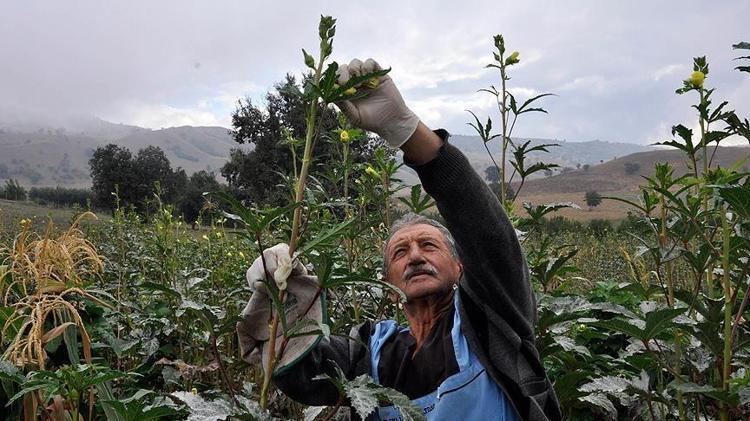 GÖZ SAĞLIĞINI KORUR