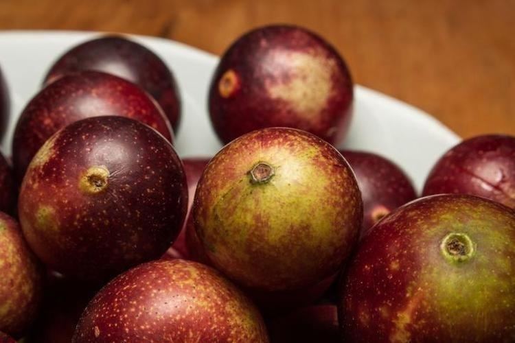 Ormanlarda kendiliğinden yetişiyor, bedava vitamin deposu...Limondan 60 kat fazla C vitamini içeriyor