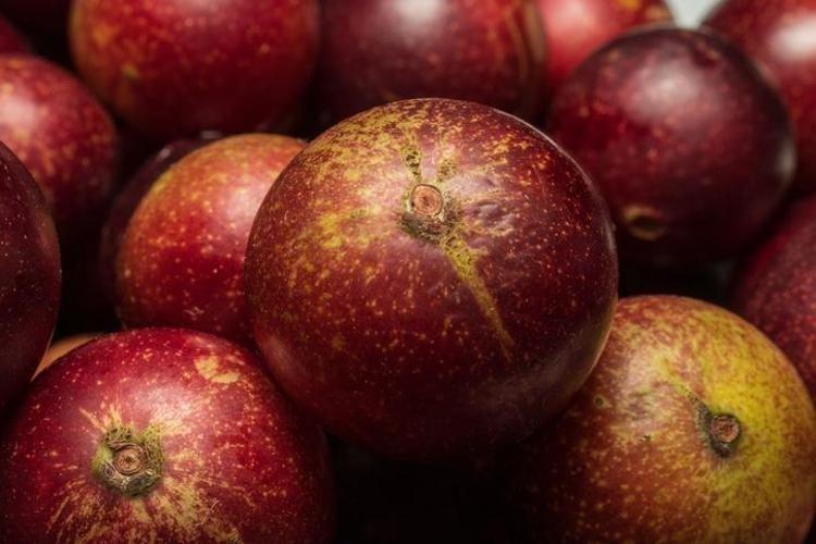 Ormanlarda kendiliğinden yetişiyor, bedava vitamin deposu...Limondan 60 kat fazla C vitamini içeriyor