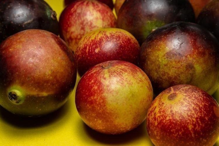 Ormanlarda kendiliğinden yetişiyor, bedava vitamin deposu...Limondan 60 kat fazla C vitamini içeriyor