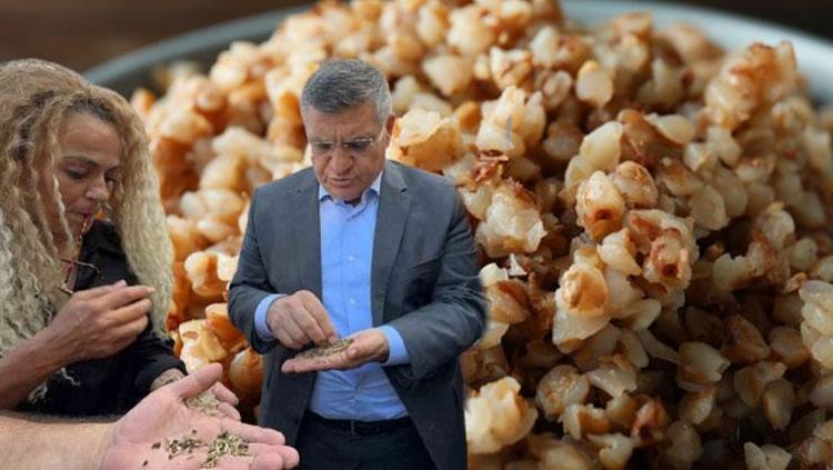 Sinopun kara elması Vücudu magnezyum, fosfat ve demire boğuyor: Kemikleri demir gibi güçlendirip, kolesterolü anında düşürüyor