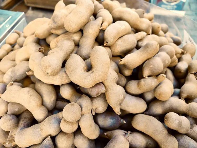 İbn-i Sinanın eşsiz önerisi: 1 bardak içene dert uğramıyor: Yazın suyunu bardak bardak tüketin Portakaldan 20 kat fazla C vitamini içeriyor